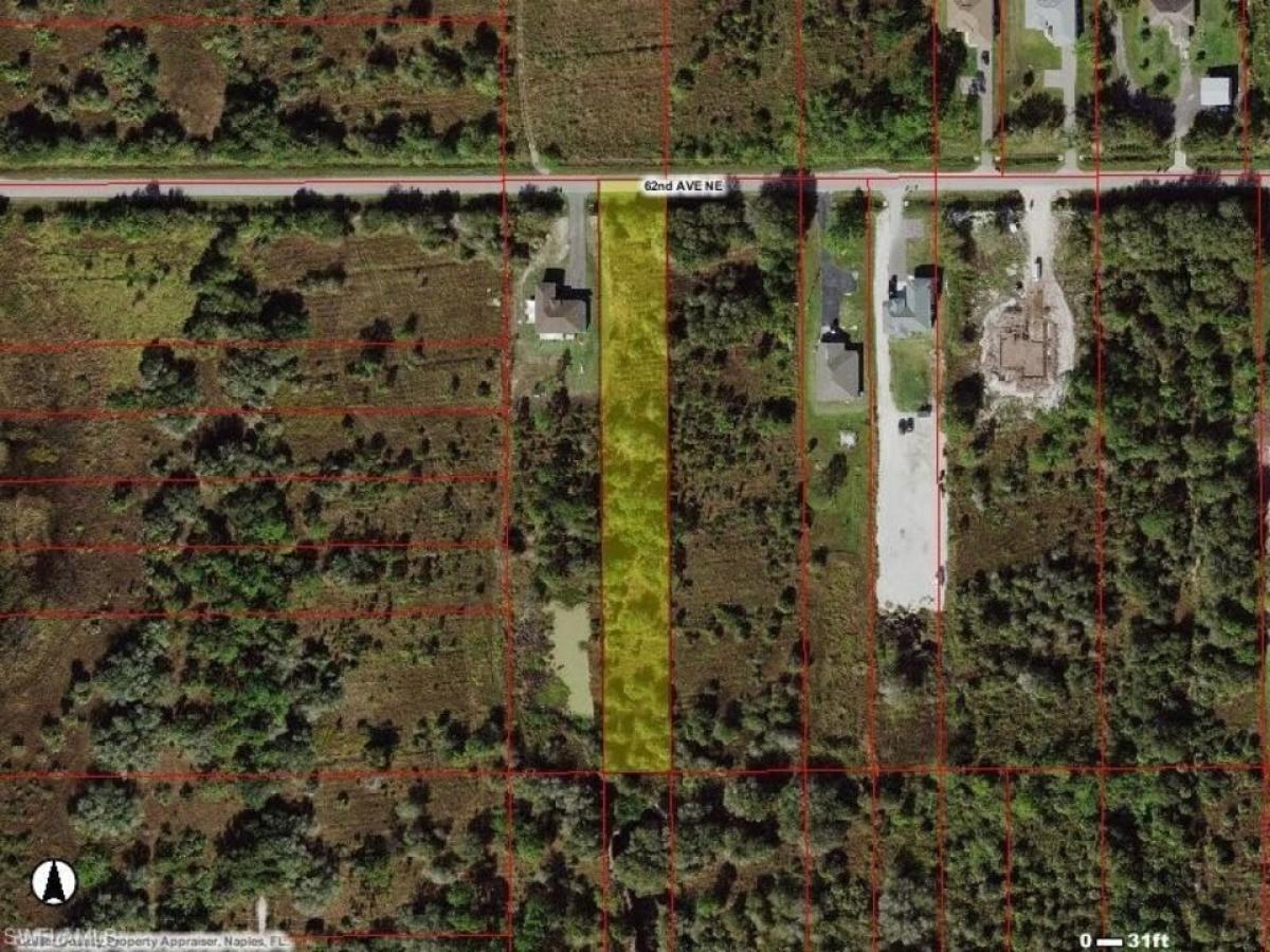 Picture of Residential Land For Sale in Naples, Florida, United States