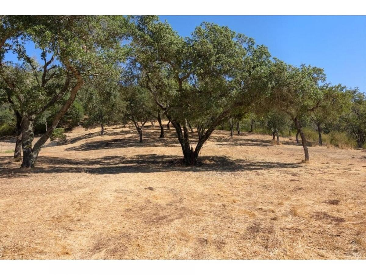 Picture of Residential Land For Sale in Santa Rosa, California, United States