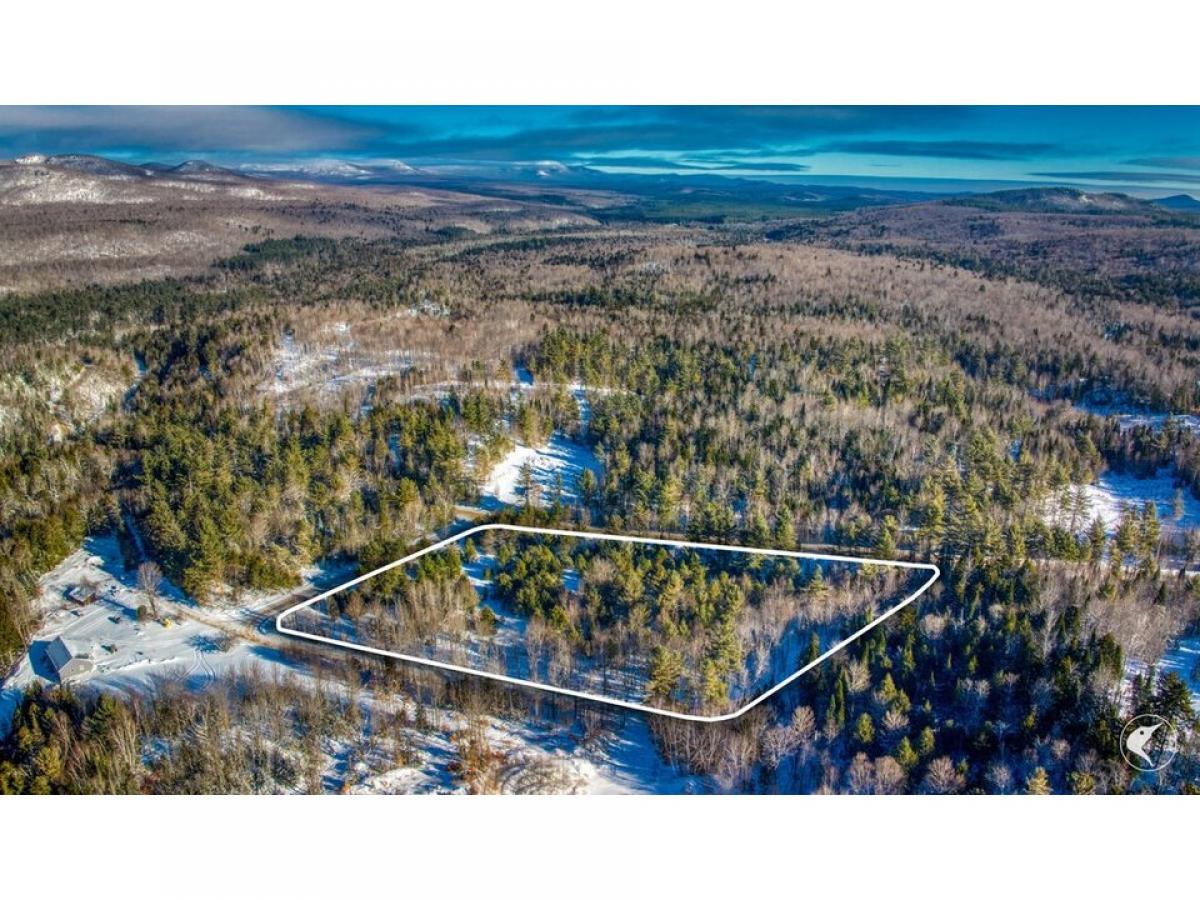 Picture of Residential Land For Sale in Loon Lake, New York, United States