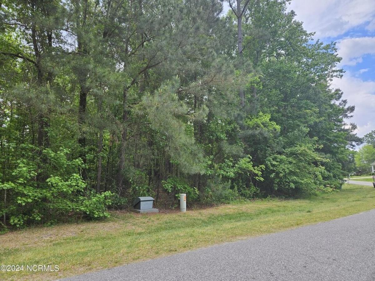 Picture of Residential Land For Sale in Hertford, North Carolina, United States