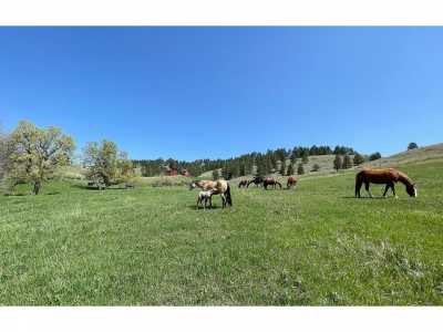 Farm For Sale in Sturgis, South Dakota