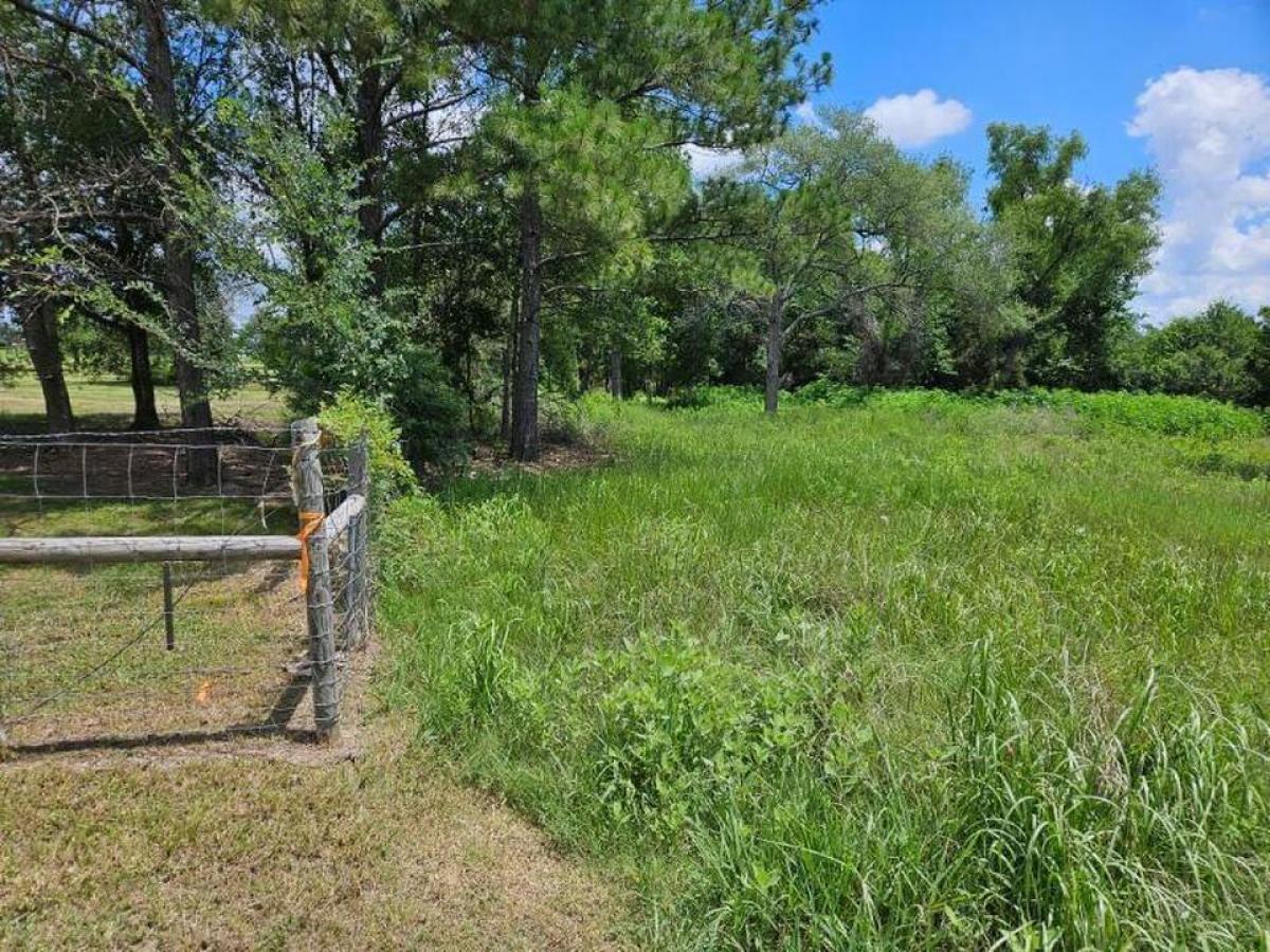 Picture of Home For Sale in Bedias, Texas, United States