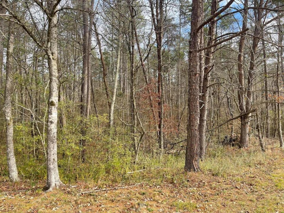 Picture of Residential Land For Sale in Ooltewah, Tennessee, United States