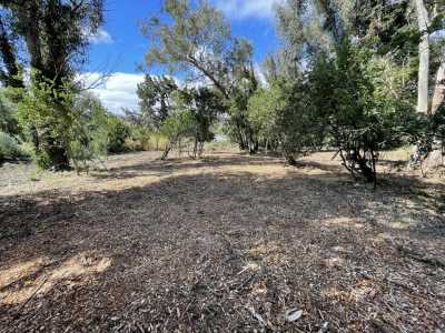 Residential Land For Sale in Valley Ford, California