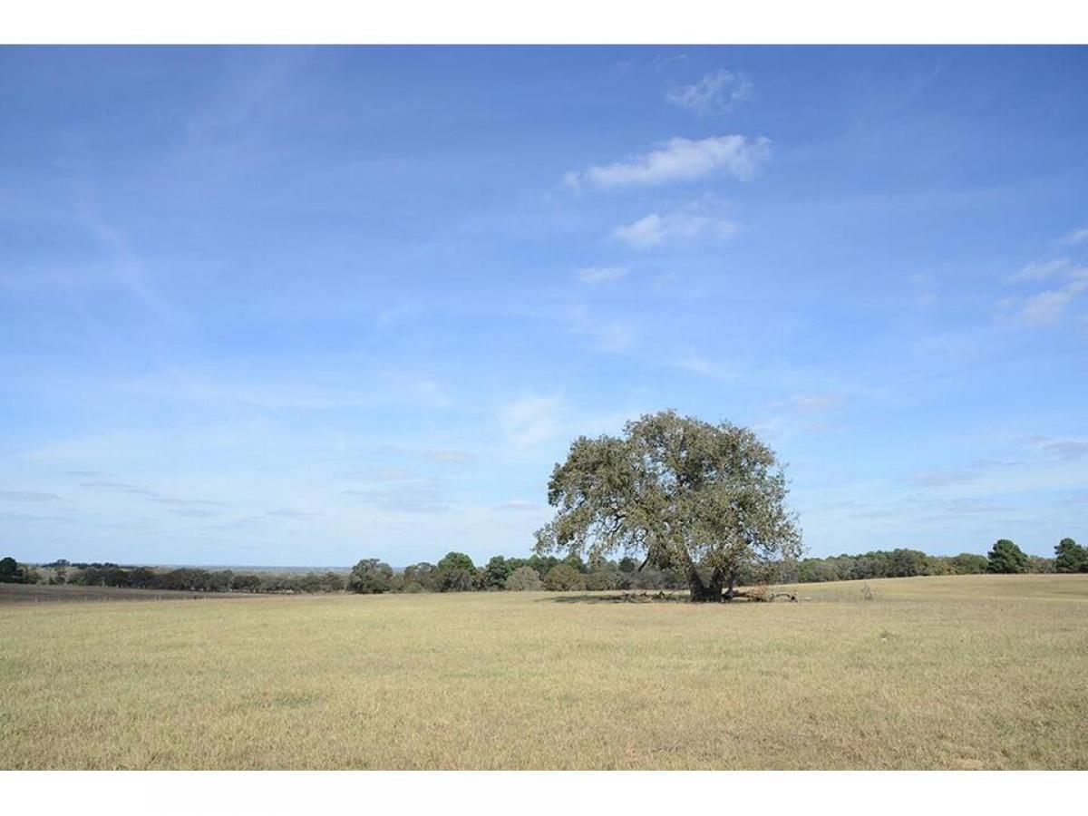 Picture of Home For Sale in Seguin, Texas, United States