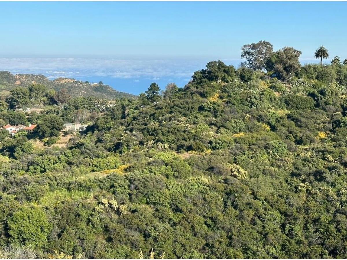 Picture of Residential Land For Sale in Topanga, California, United States