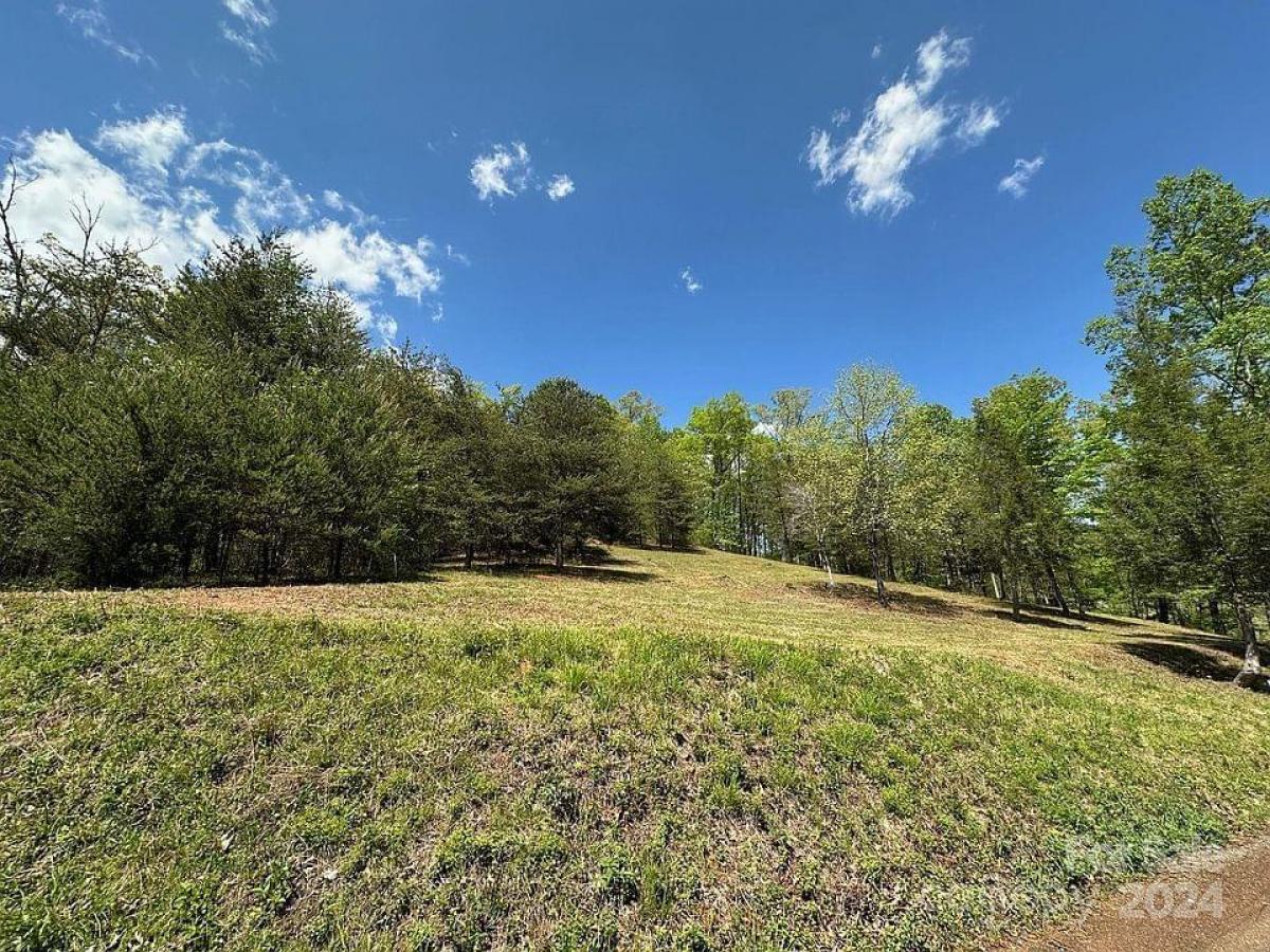 Picture of Residential Land For Sale in Lake Lure, North Carolina, United States