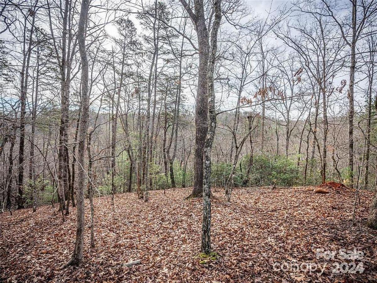 Picture of Residential Land For Sale in Lake Lure, North Carolina, United States