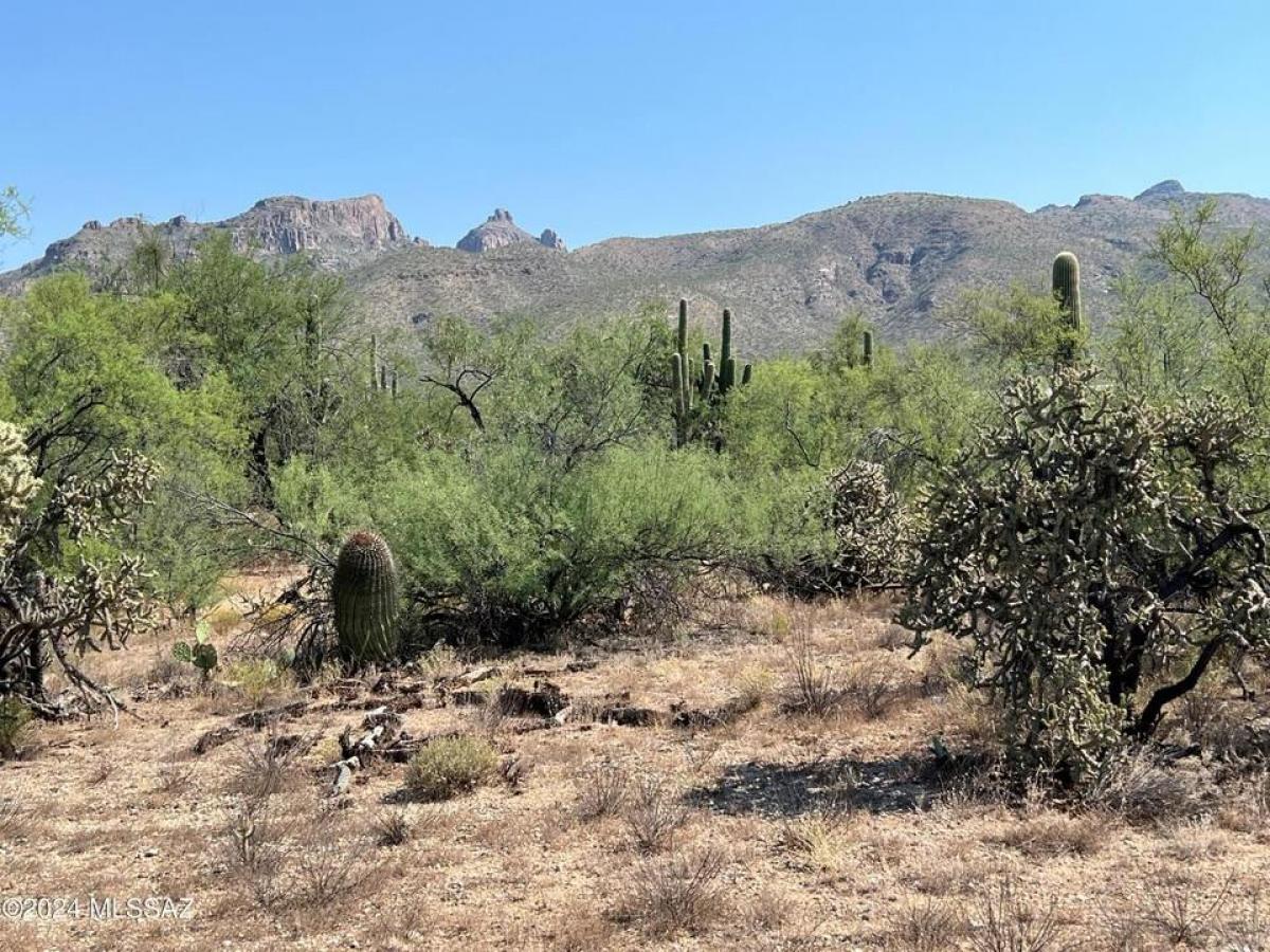 Picture of Residential Land For Sale in Tucson, Arizona, United States