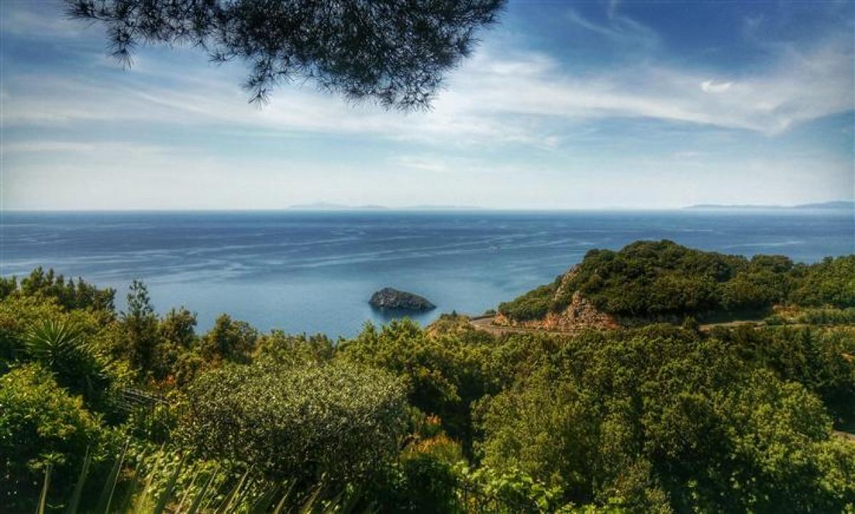 Picture of Villa For Sale in Monte Argentario, Tuscany, Italy