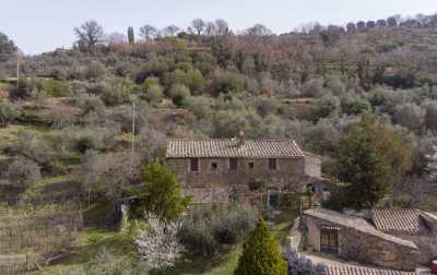 Home For Sale in Montalcino, Italy