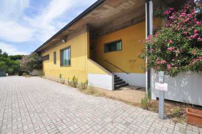 Office For Sale in Piombino, Italy