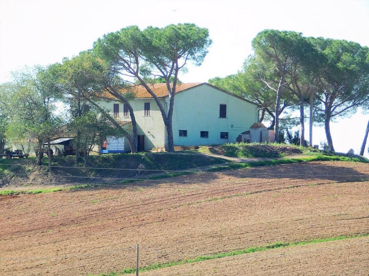 Picture of Home For Sale in Roccastrada, Tuscany, Italy