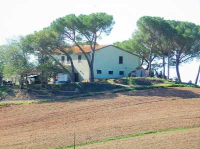 Home For Sale in Roccastrada, Italy