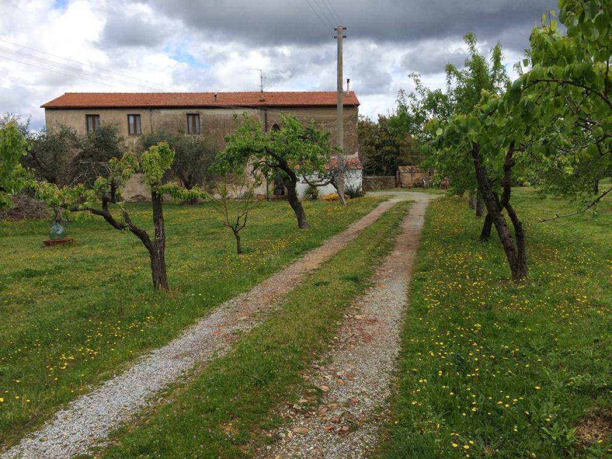 Picture of Home For Sale in Scarlino, Tuscany, Italy