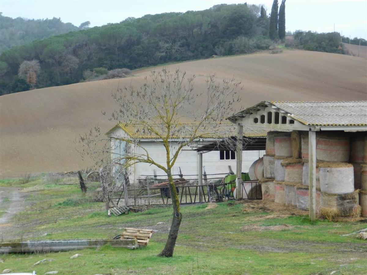 Picture of Home For Sale in Gavorrano, Tuscany, Italy