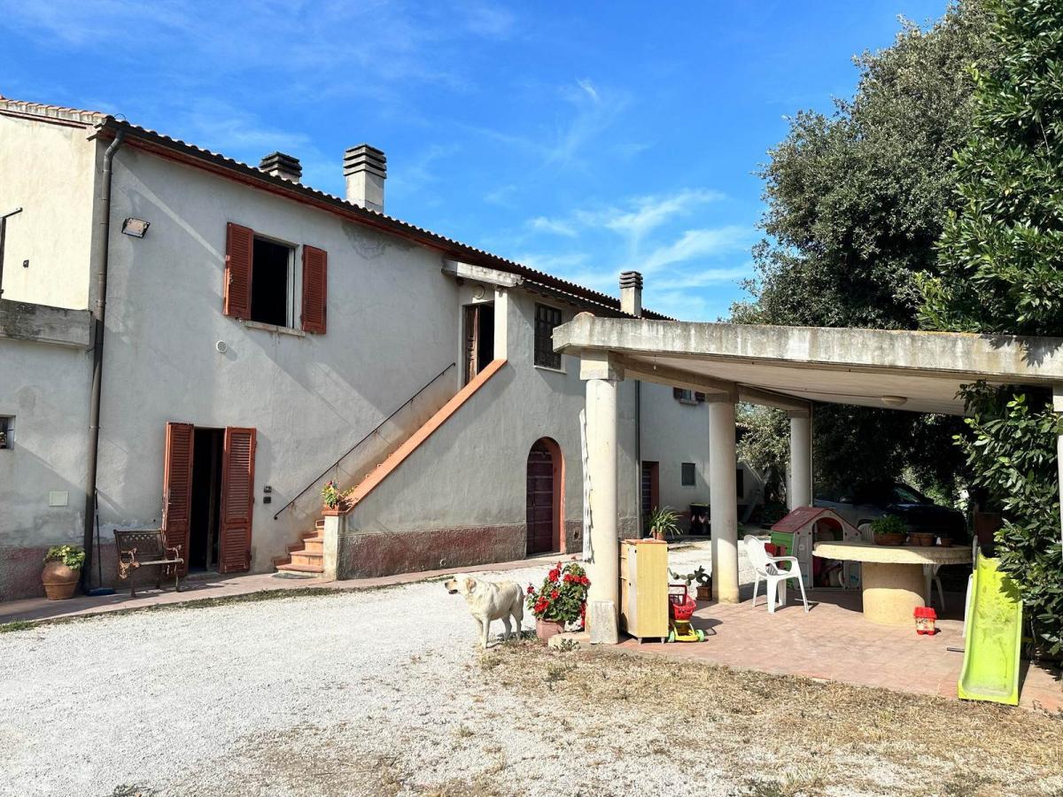 Picture of Home For Sale in Campiglia Marittima, Other, Italy