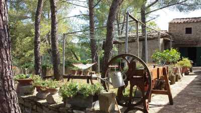 Home For Sale in Barberino Tavarnelle, Italy