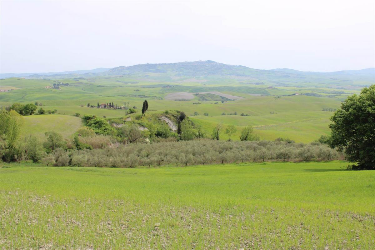 Picture of Home For Sale in Montecatini Val Di Cecina, Pisa, Italy