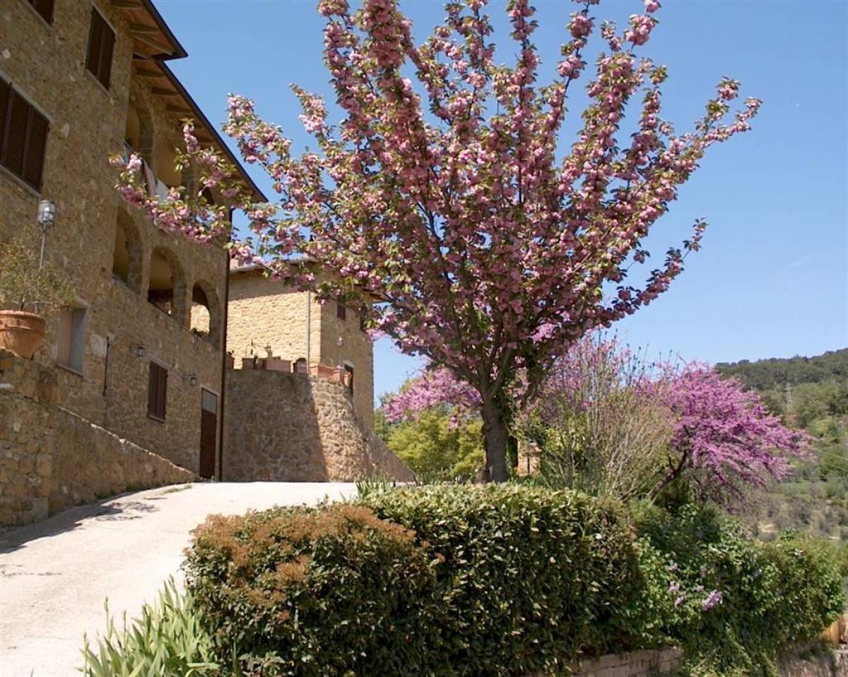 Picture of Home For Sale in Trequanda, Tuscany, Italy