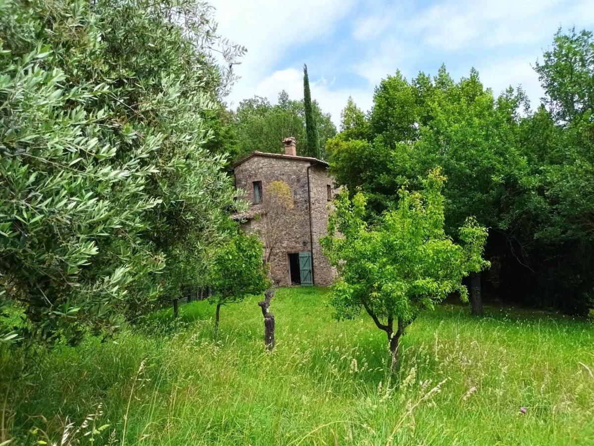 Picture of Home For Sale in Cetona, Tuscany, Italy