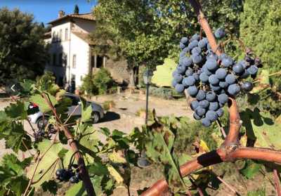 Villa For Sale in Cortona, Italy