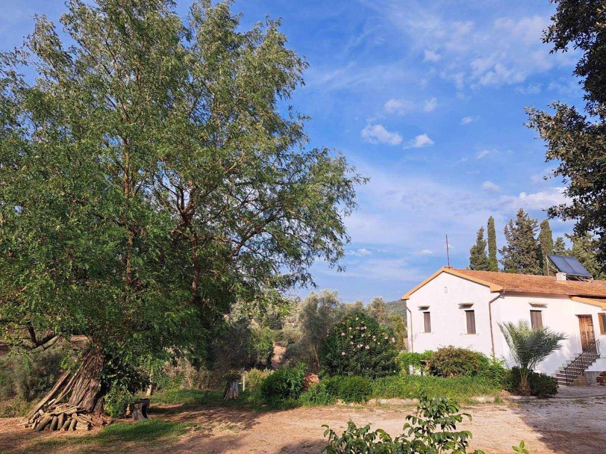 Picture of Home For Sale in Campiglia Marittima, Other, Italy