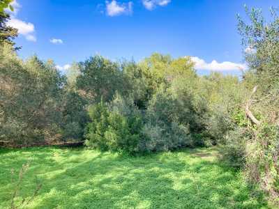 Residential Land For Sale in 