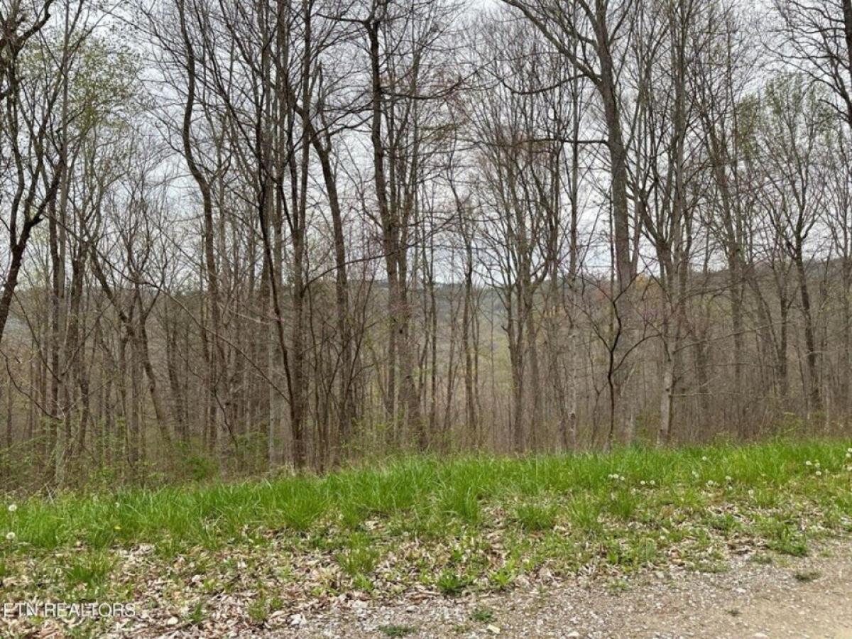 Picture of Residential Land For Sale in Jamestown, Tennessee, United States