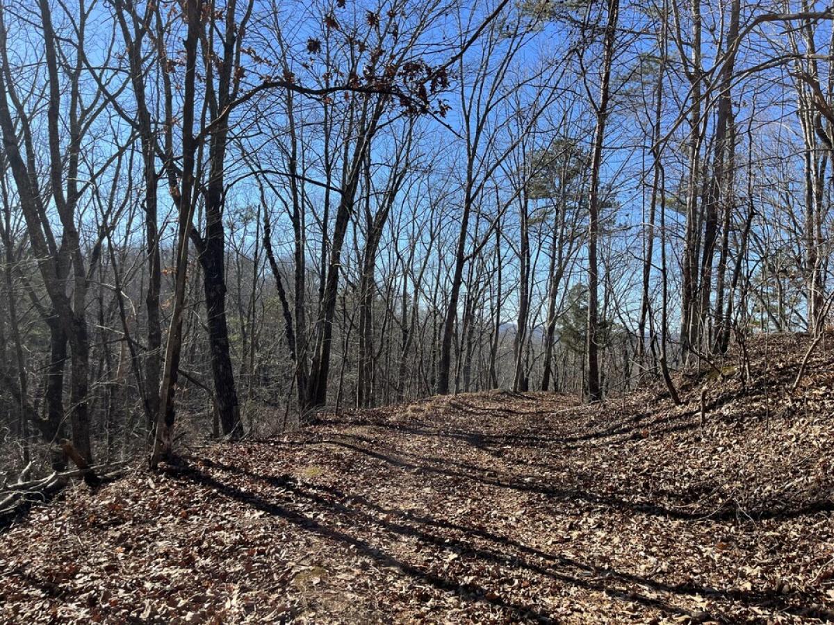 Picture of Residential Land For Sale in Rockwood, Tennessee, United States