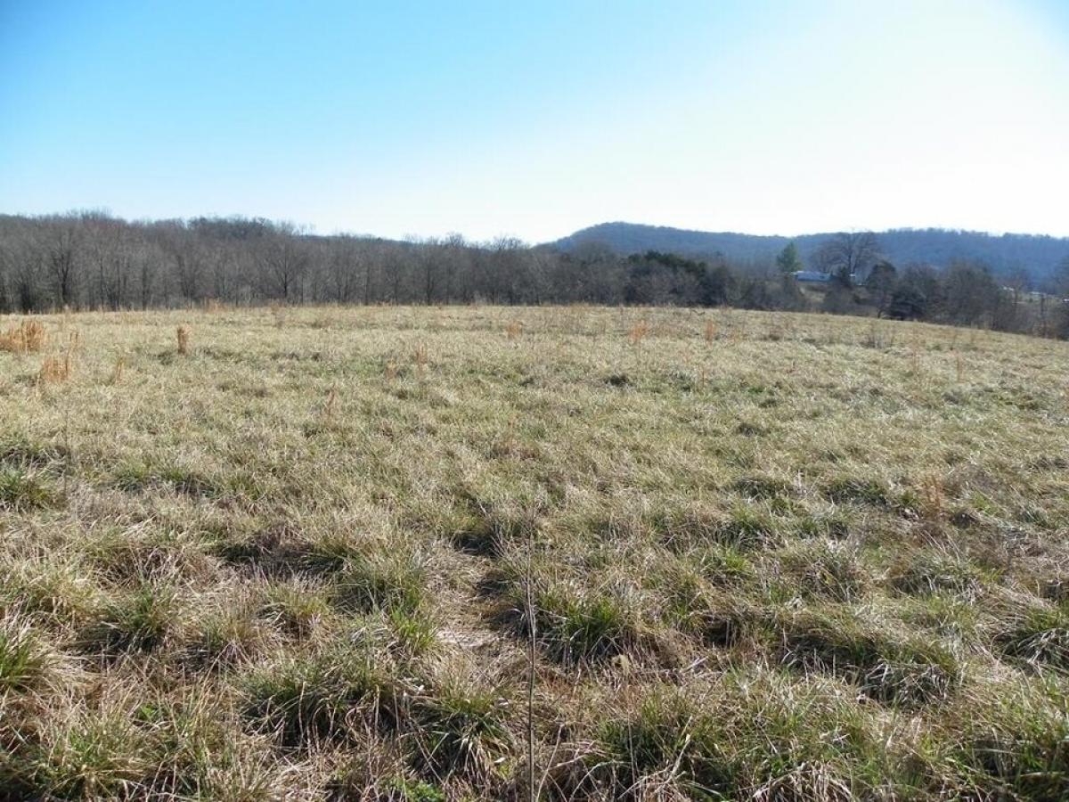 Picture of Residential Land For Sale in Sparta, Tennessee, United States