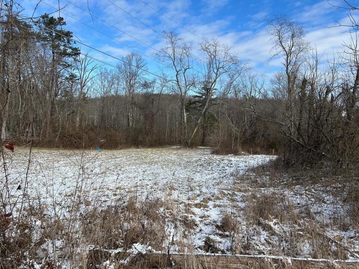 Picture of Residential Land For Sale in Jamestown, Tennessee, United States