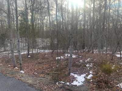 Residential Land For Sale in Spencer, Tennessee