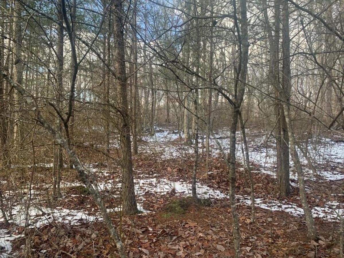 Picture of Residential Land For Sale in Spencer, Tennessee, United States