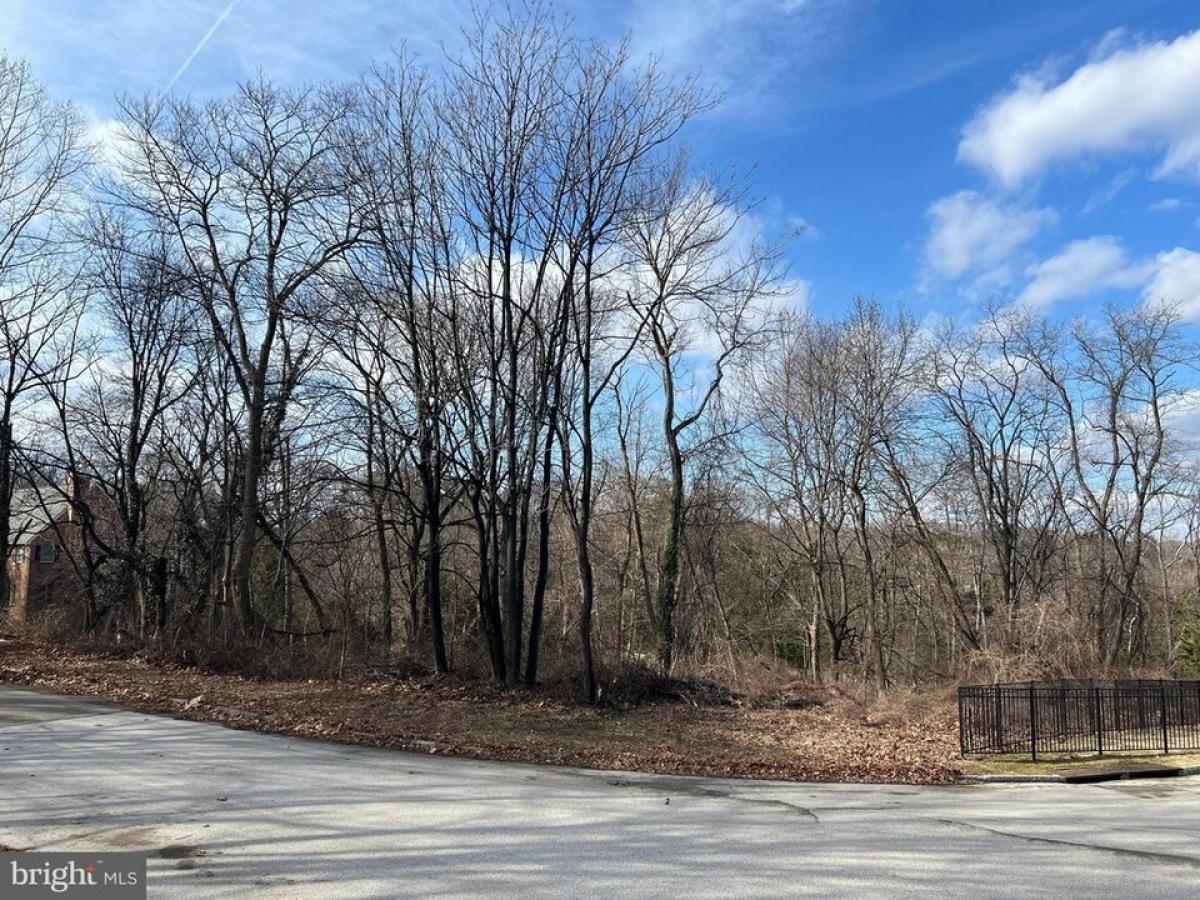 Picture of Residential Land For Sale in Bryn Mawr, Pennsylvania, United States