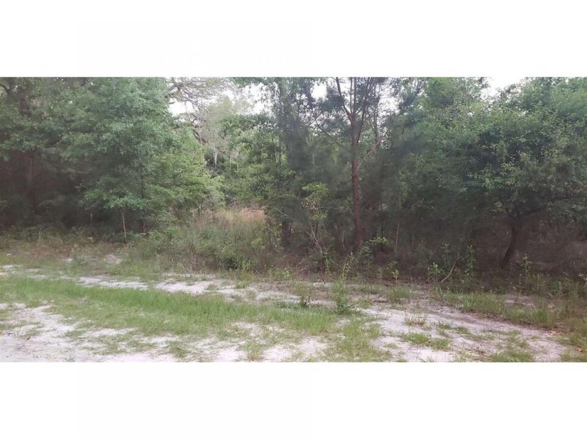 Picture of Residential Land For Sale in Crawfordville, Florida, United States