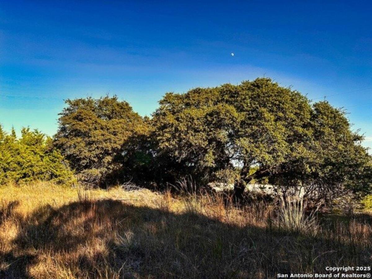 Picture of Residential Land For Sale in Spring Branch, Texas, United States