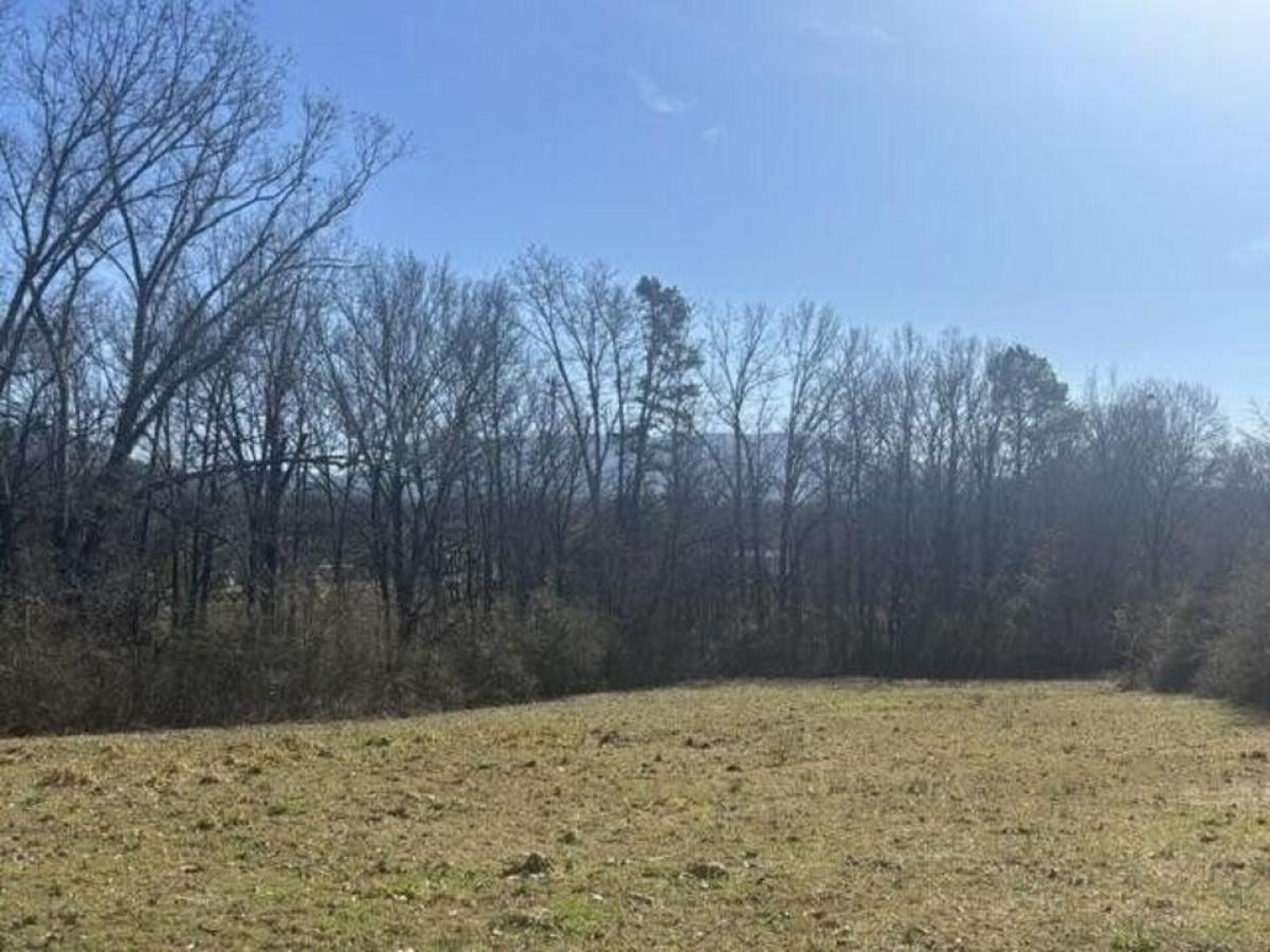 Picture of Residential Land For Sale in Etowah, Tennessee, United States