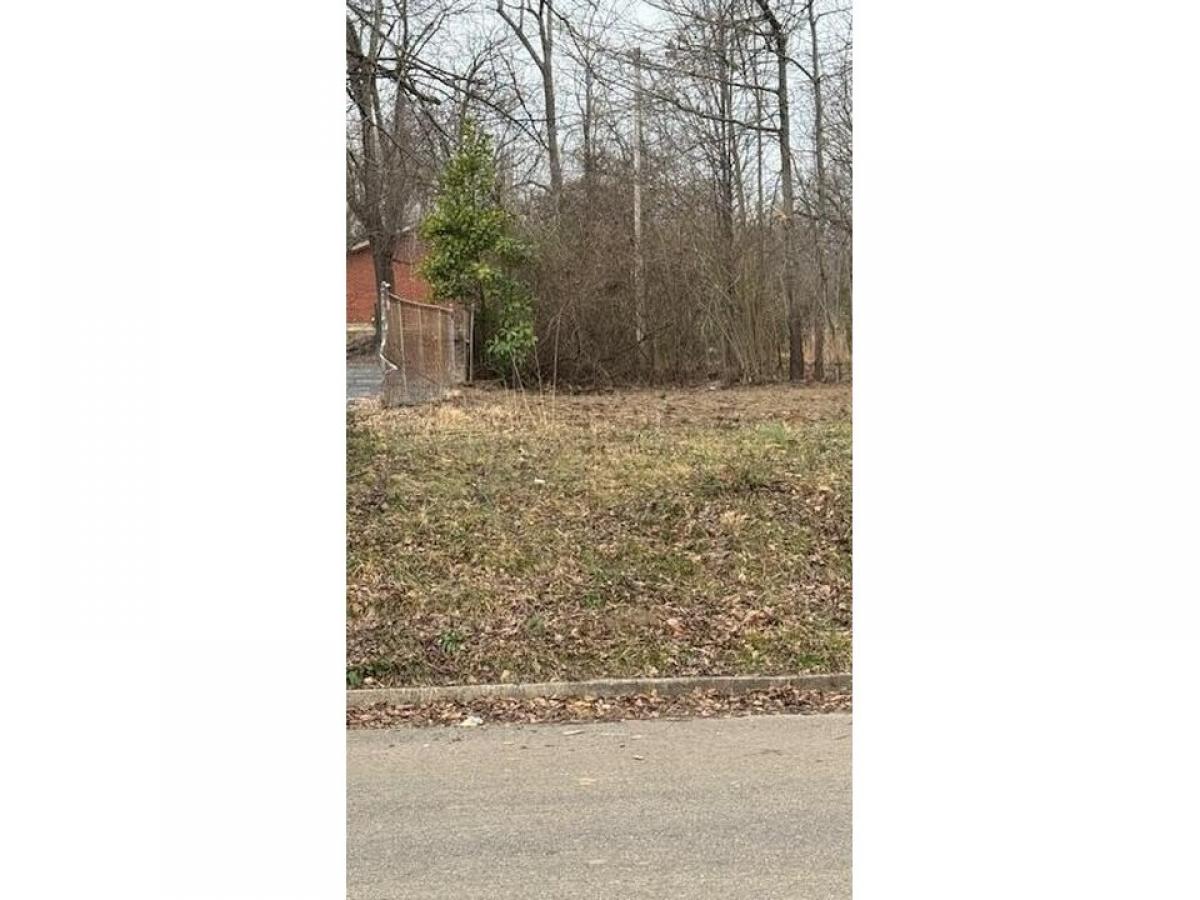 Picture of Residential Land For Sale in Jackson, Tennessee, United States