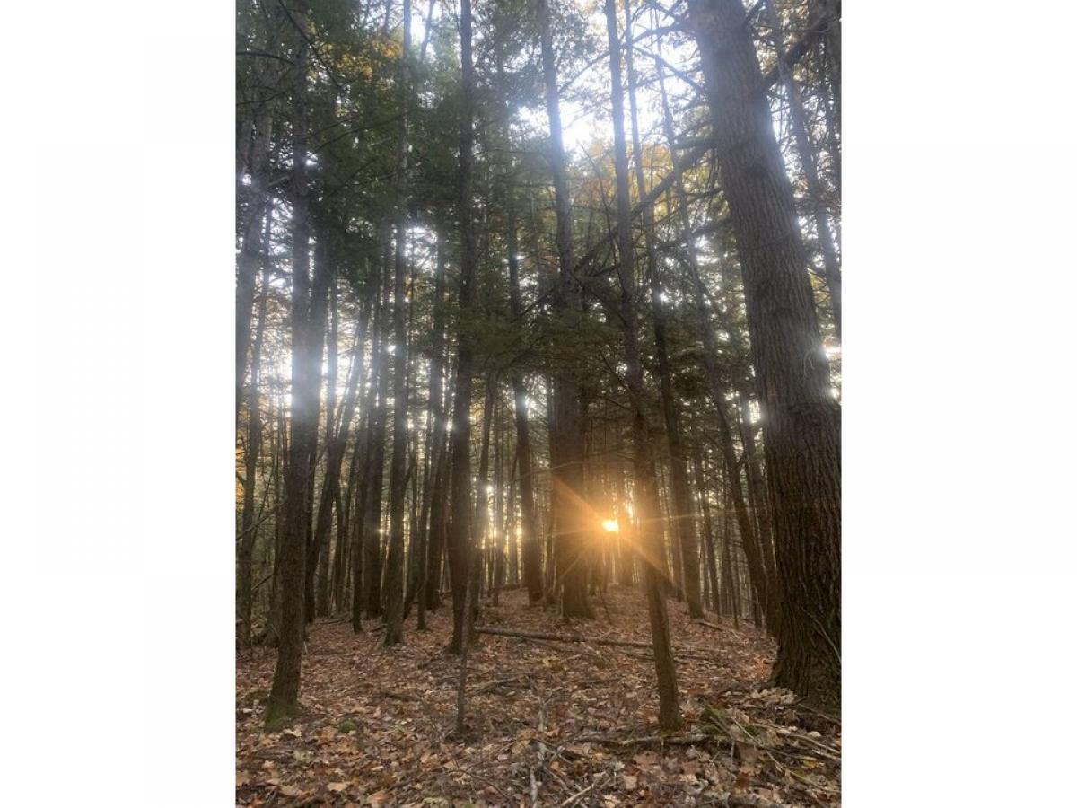 Picture of Residential Land For Sale in Alexandria, New Hampshire, United States