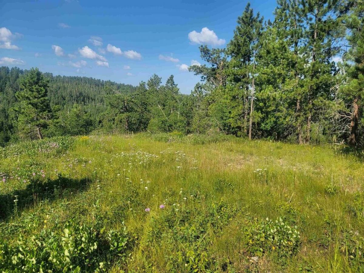 Picture of Residential Land For Sale in Lead, South Dakota, United States