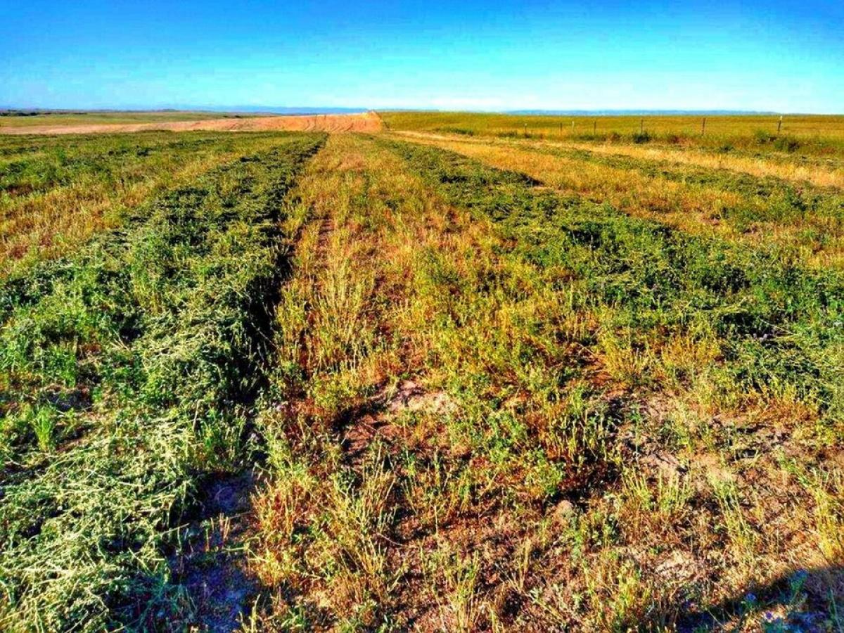 Picture of Farm For Sale in Garryowen, Montana, United States