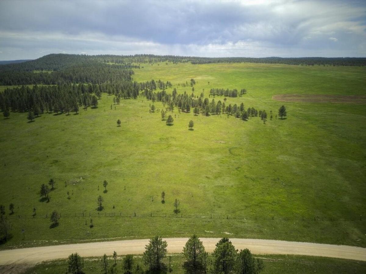 Picture of Residential Land For Sale in Pringle, South Dakota, United States