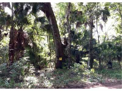 Home For Sale in Hawthorne, Florida