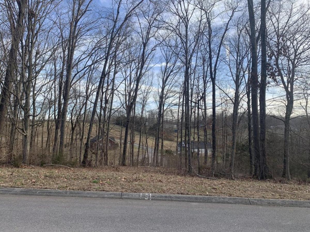 Picture of Residential Land For Sale in Russellville, Tennessee, United States