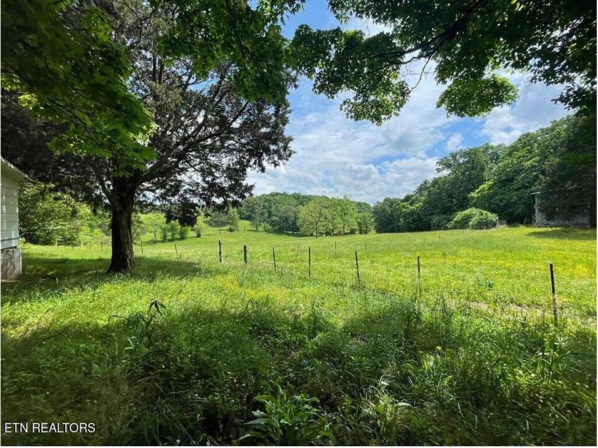 Picture of Residential Land For Sale in Loudon, Tennessee, United States