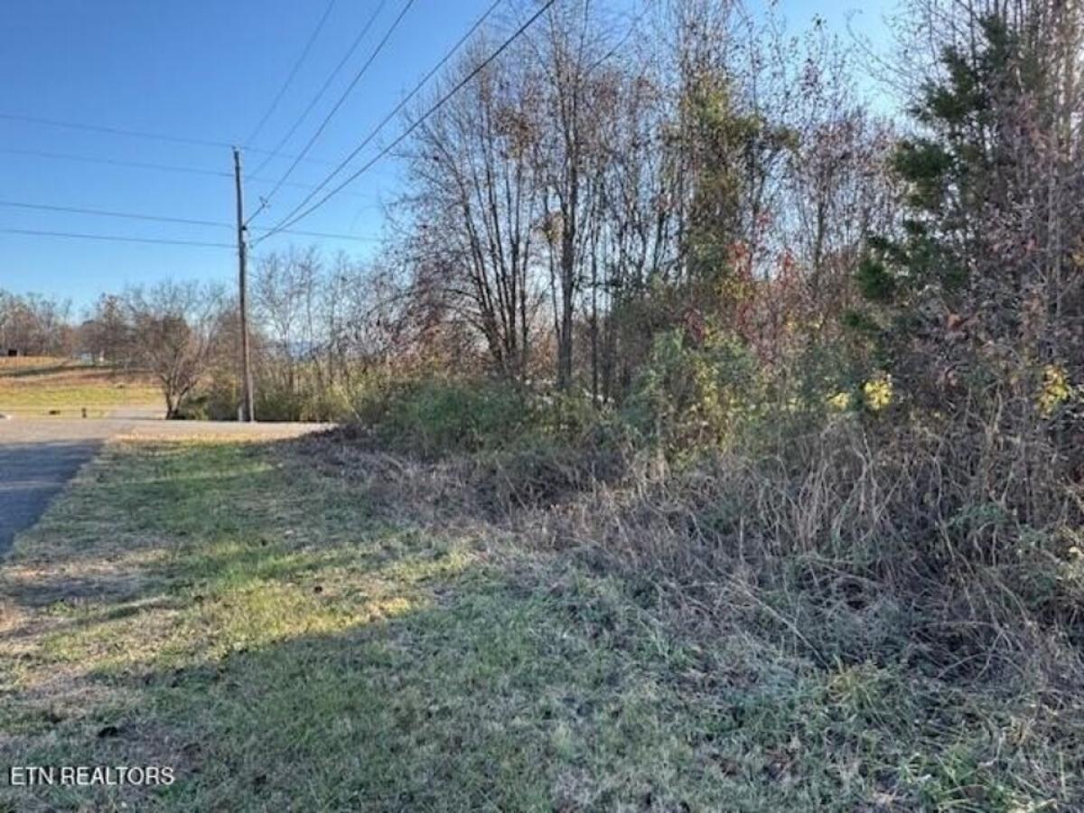 Picture of Residential Land For Sale in Dandridge, Tennessee, United States