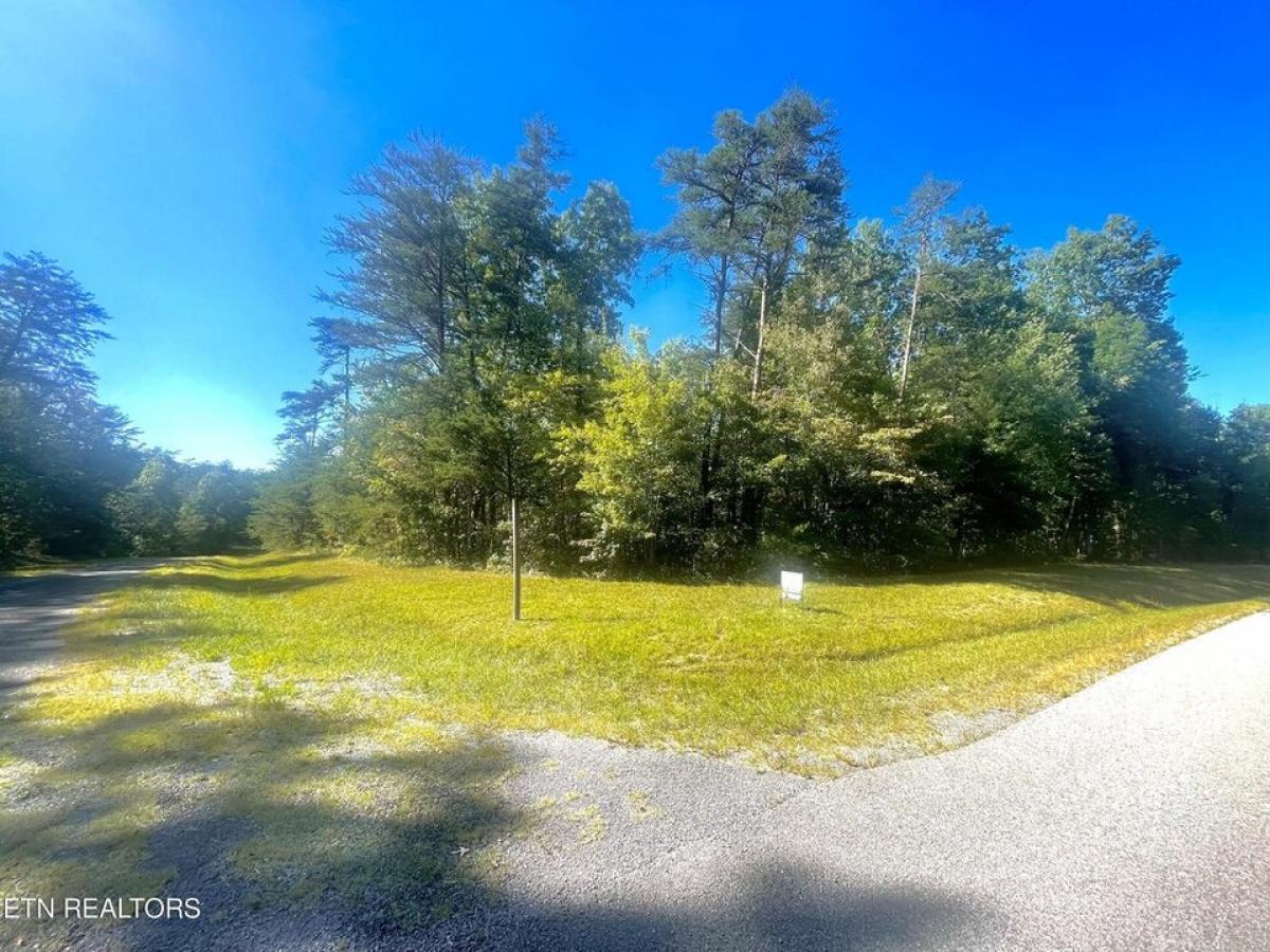 Picture of Residential Land For Sale in Monterey, Tennessee, United States