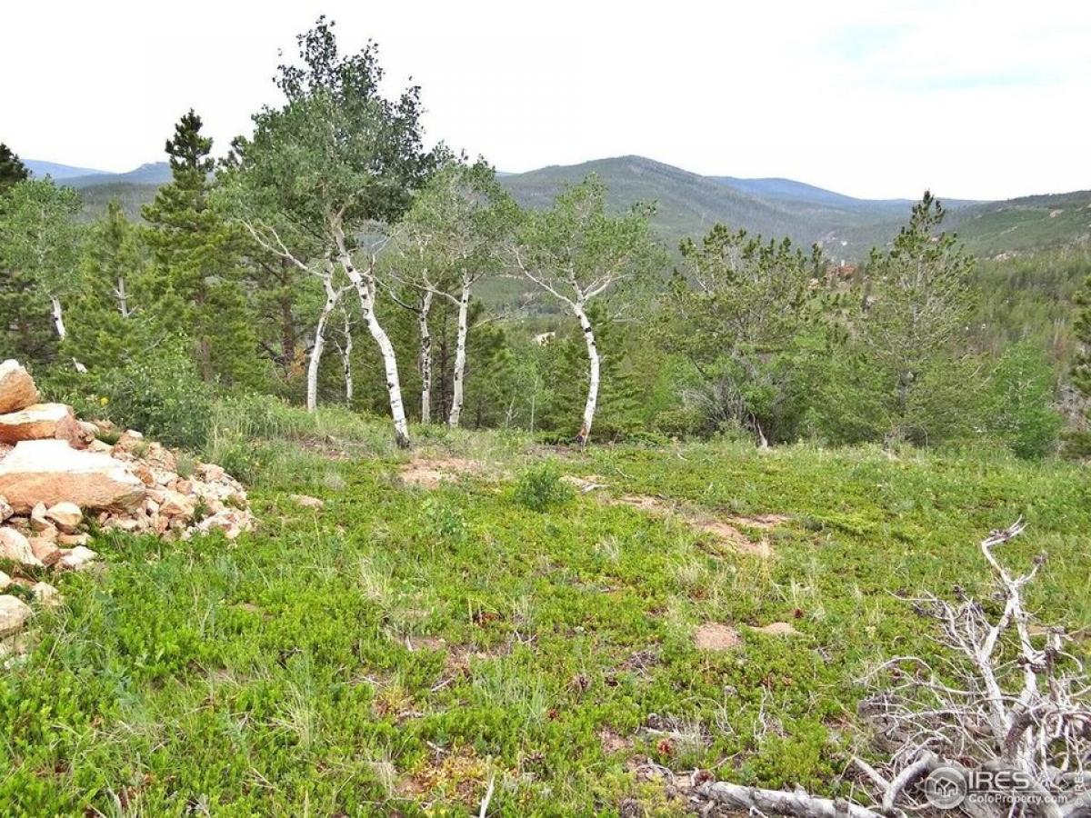 Picture of Residential Land For Sale in Red Feather Lakes, Colorado, United States