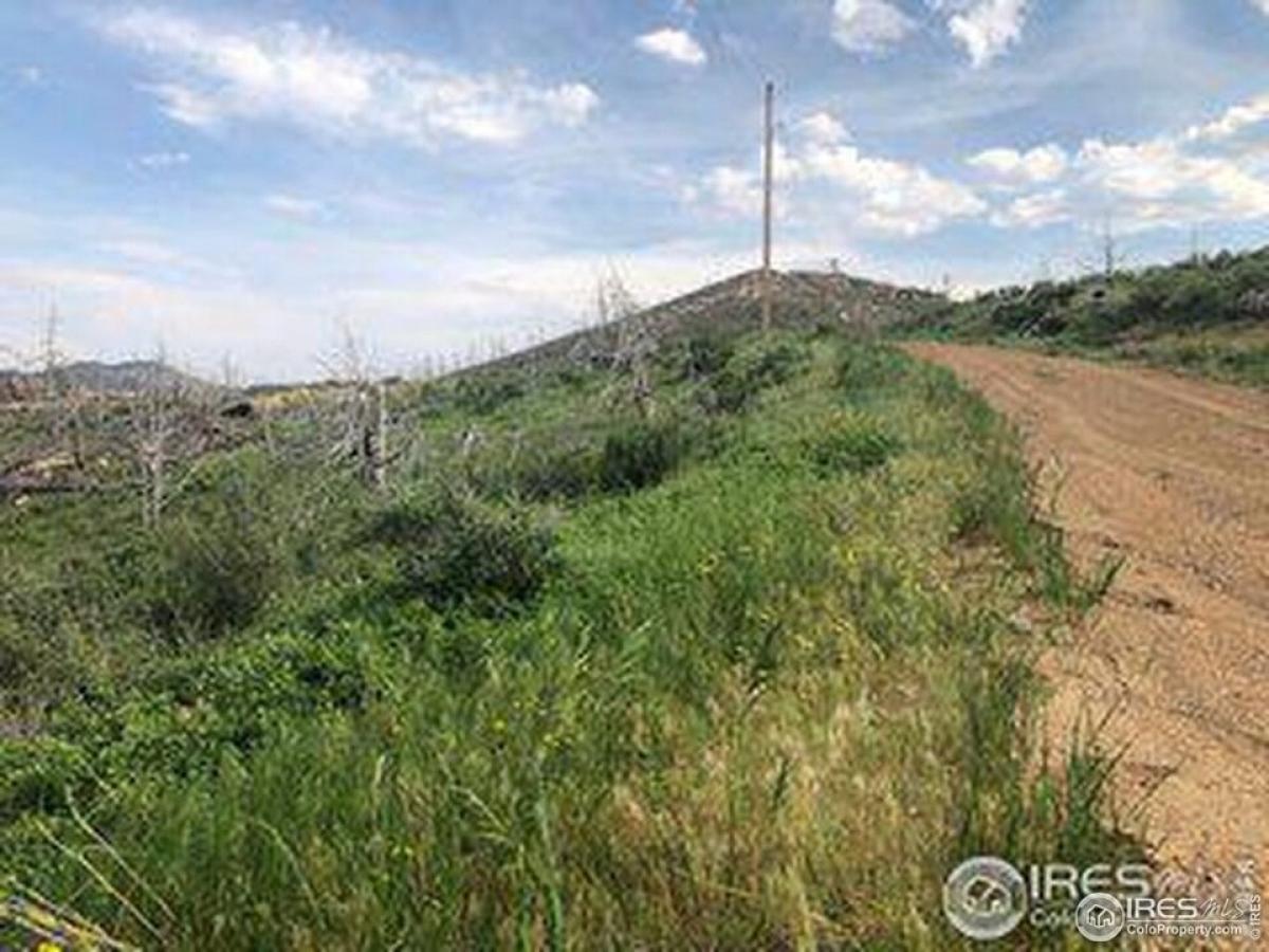 Picture of Residential Land For Sale in Livermore, Colorado, United States